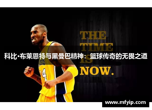 科比·布莱恩特与黑曼巴精神：篮球传奇的无畏之道