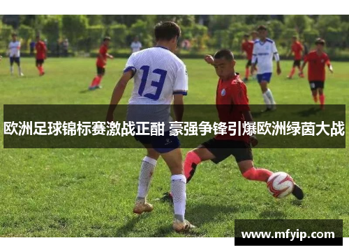 欧洲足球锦标赛激战正酣 豪强争锋引爆欧洲绿茵大战